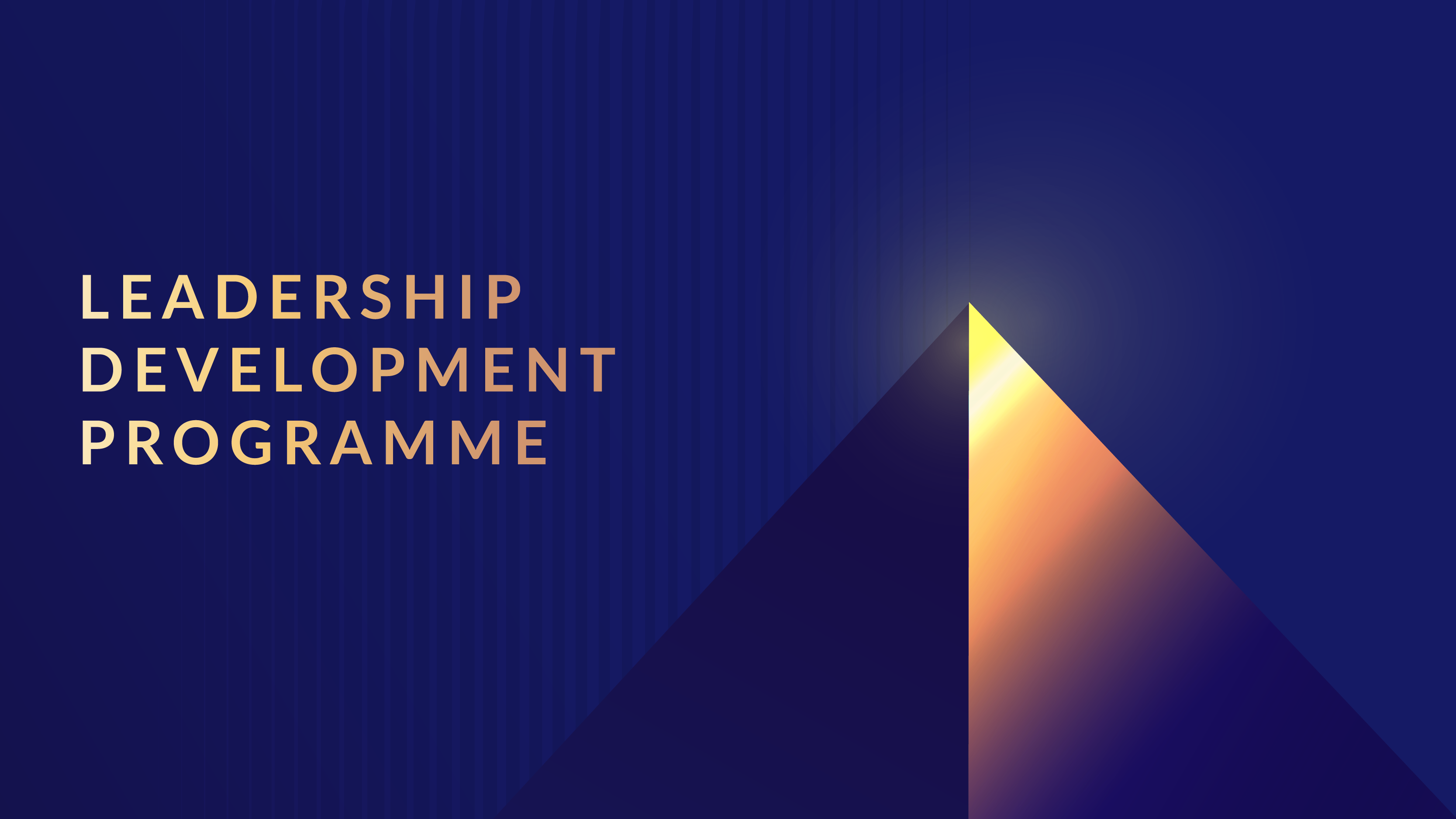 Leadership Development Programme