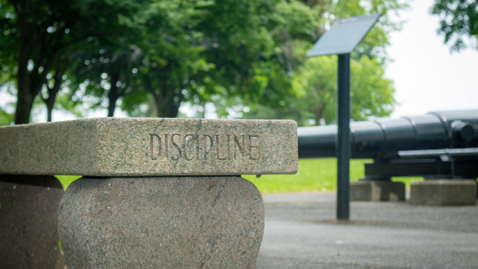 disciplinary-procedures